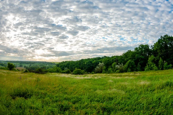 Peisaj Frumos Vară Câmp Iarbă Verde Cer Tulbure — Fotografie, imagine de stoc