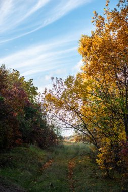 Landscape of Ukraine. Day and Night . Sunrise in forest . Village house .