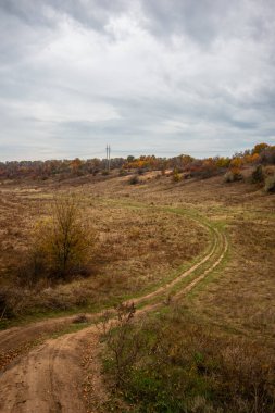 Ağaçlar ve yeşil otlarla dolu sonbahar manzarası