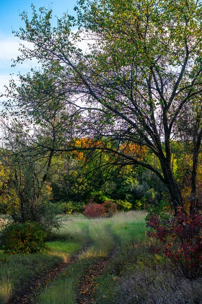 Landscape of Ukraine. Day and Night . Sunrise in forest . Village house .