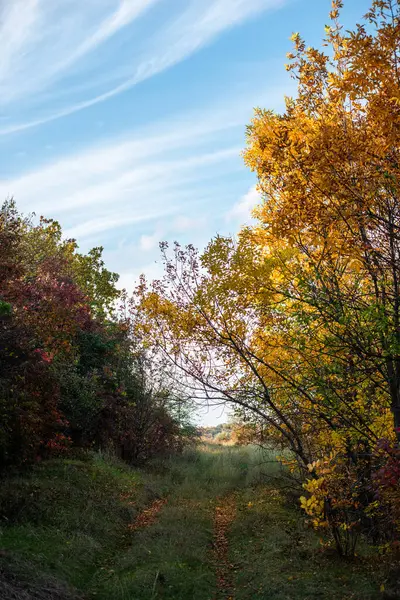 Landscape of Ukraine. Day and Night . Sunrise in forest . Village house .