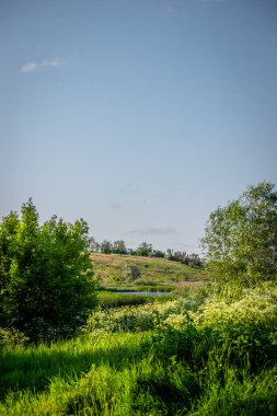 Ağacı ve tarlası olan güzel bir manzara.