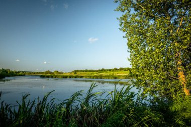 Nehir ve ağaçlarla dolu güzel bir yaz manzarası