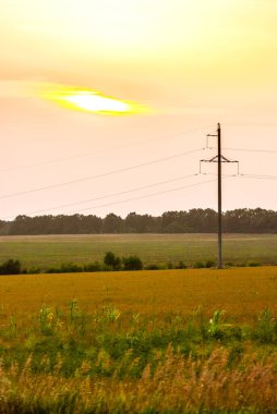 Kırsal alanın güzel manzarası