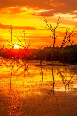 Gölde güzel bir gün batımı