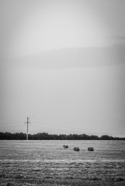 Güzel deniz manzarası