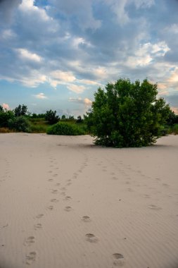 Akşamları kum tepeleri