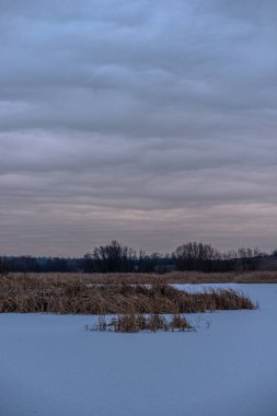 Karda ağaçlar olan bir kış manzarası.