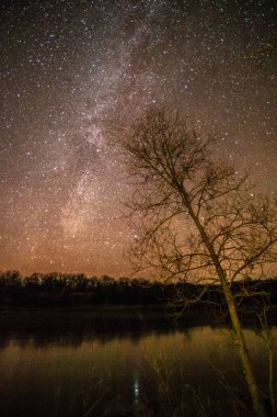 Samanyolu ağacın üzerinde