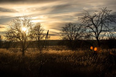 Ormanda güzel bir gün batımı