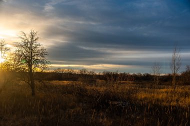 Ormanda güzel bir gün batımı