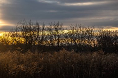 Gündoğumu ile güzel manzara