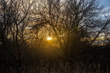 Gölün üzerinde gün batımı