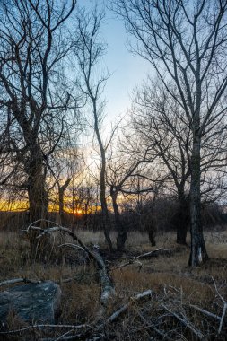 Gölün üzerinde güzel bir gün batımı