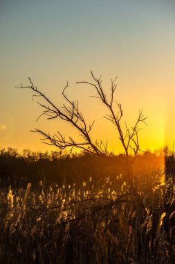 Brezilya kırsalında gün batımı