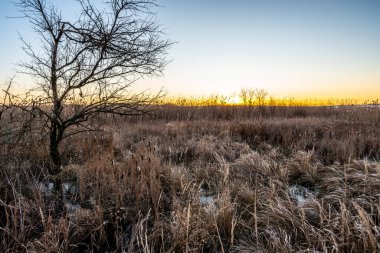 Karlı kış manzarası