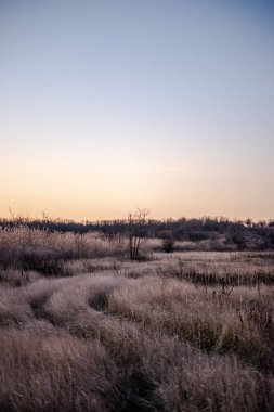 Tarlada güzel bir gün batımı