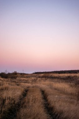 Kuru bir otla güzel bir günbatımının dikey çekimi