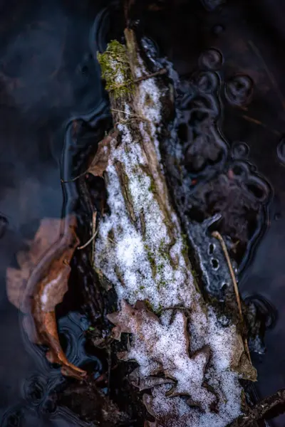 Ujęcie Bliska Zamarzniętego Strumienia Lesie Rozmytym Tłem — Zdjęcie stockowe