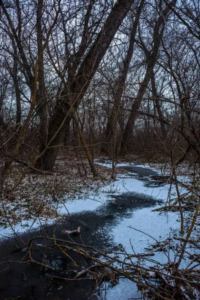 Zima Parku Śniegu Rzece — Zdjęcie stockowe