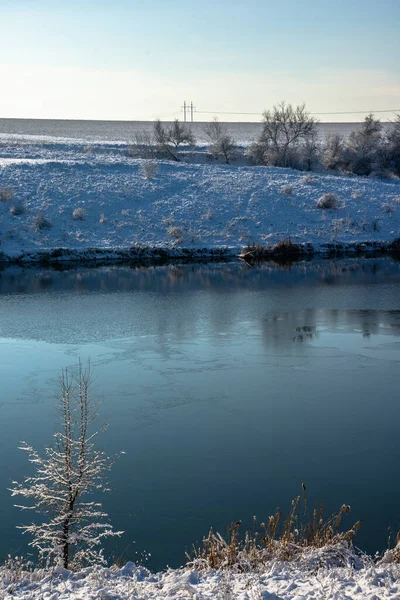 Vinter Landskab Med Træ Flod - Stock-foto