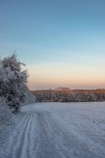 Vacker Utsikt Över Ett Snöfält Solljuset Dagen Stor Britt — Stockfoto