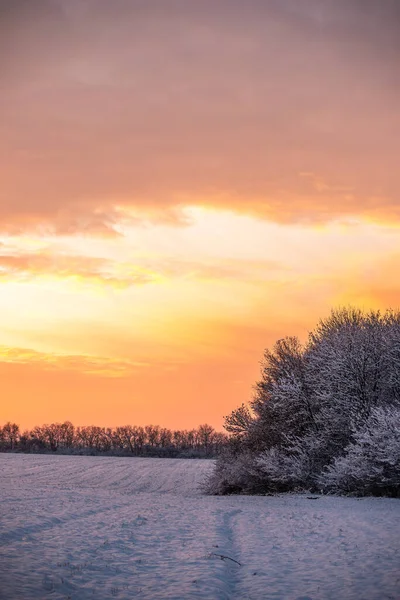 Winter Landscape Fields Meadows — Stock Photo, Image