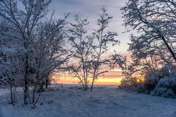 Winterlandschaft Des Gefrorenen Flusses Sonnenuntergang Winter — Stockfoto