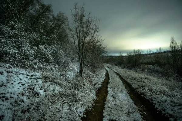 Зимняя Дорога Лесу — стоковое фото