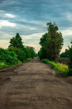 Gün batımında bir tarlanın ortasında ağaçlarla kaplı toprak yol..