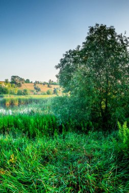 Sabahları gölün güzel manzarası
