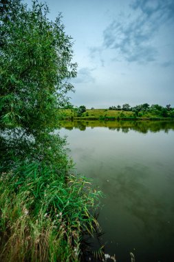 Yeşil ağaçlı ve bulutlu bir nehrin dikey görüntüsü.