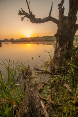 Gölün üzerinde güzel bir gün batımı