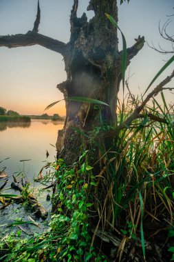 Gölün üzerinde güzel bir gün batımı