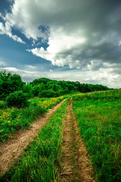 Yeşil alan ve yol uzakta.