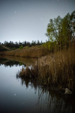 Geceleri parkta güzel bir göl.