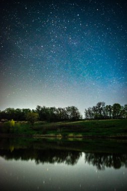Yıldızlar ve ağaçlarla dolu gece göğü