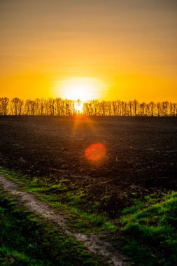 Tarlanın üzerinde güzel bir gün batımı