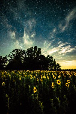 Gece tarlası ve yıldızlar