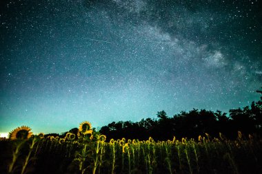 Gecenin karanlığında samanyolu.