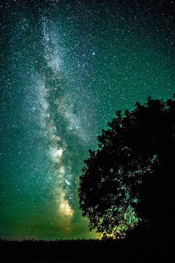 Yıldızlar ve ağaçlarla dolu güzel bir gece göğü