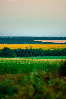 güzel doğanın resimsel manzarası