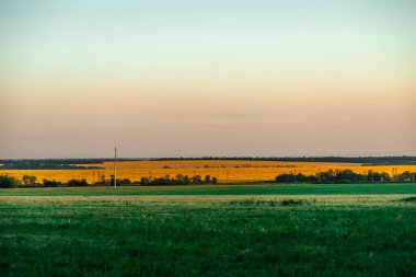 Tarlada gün batımı