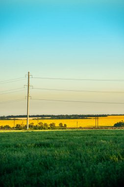 Yeşil tarla ve beyaz bulutlu mavi gökyüzü