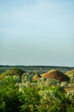 Arkasında bir dağ ve bir ağaç olan güzel bir manzara.