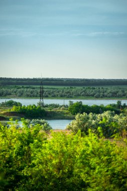 Nehir ve ormandaki ağaçlar