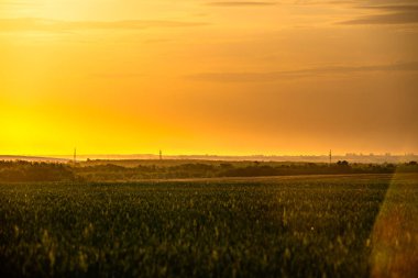 Güneş doğarken kırsal alanda güzel bir manzara..