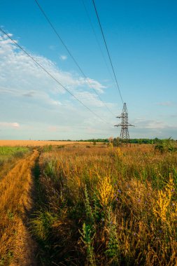 Buğday tarlası ve bulutlu gökyüzü olan güzel bir manzara.