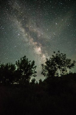 Yıldızlar ve ağaçlarla dolu gece göğü