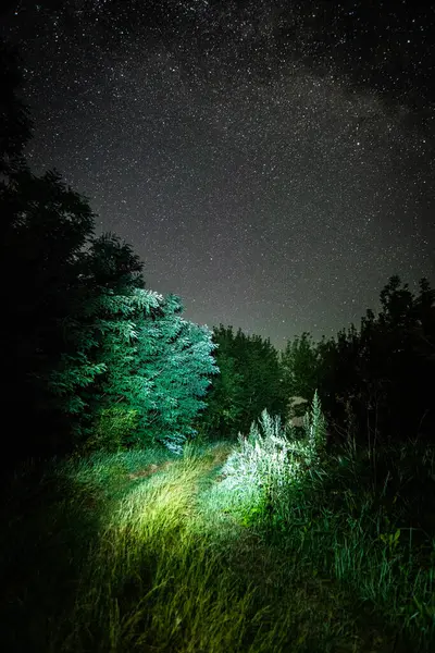 Samanyolu 'nun Gece Manzarası